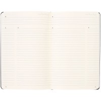 Записная книжка Moleskine Professional Large, черная