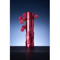Термос Gems Red Rubine, красный рубин